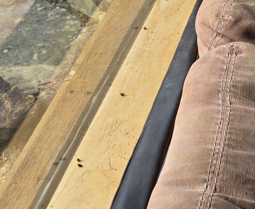 Brimstone Recreation-亨茨维尔必去景点