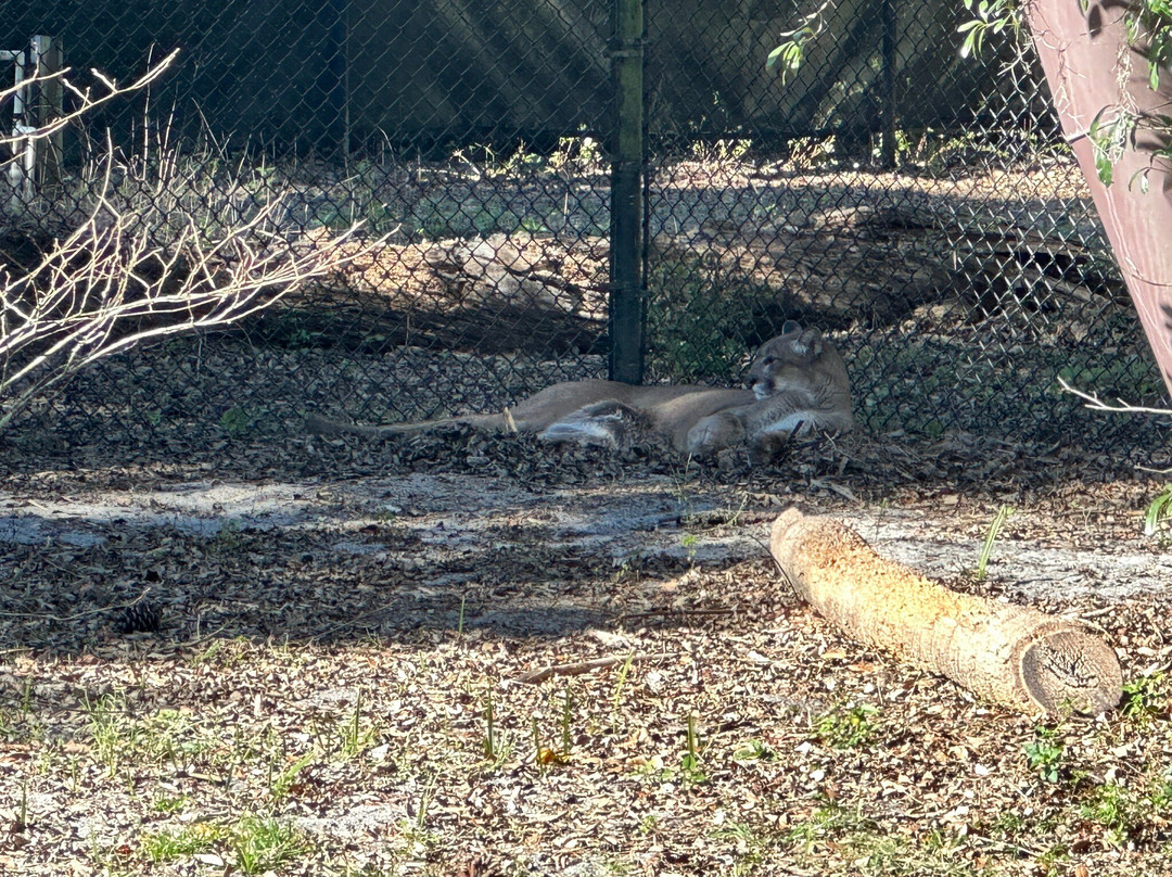 Homosassa springs wildlife park-Homosassa Springs必去景点
