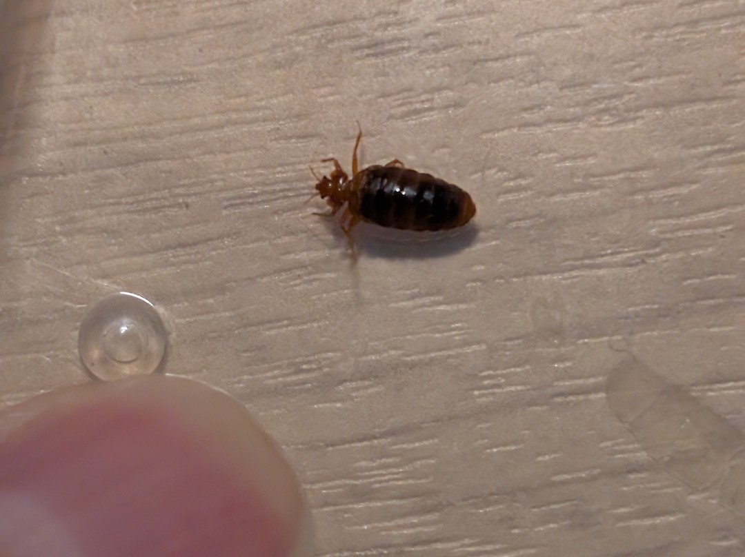 Travelodge Glastonbury主图