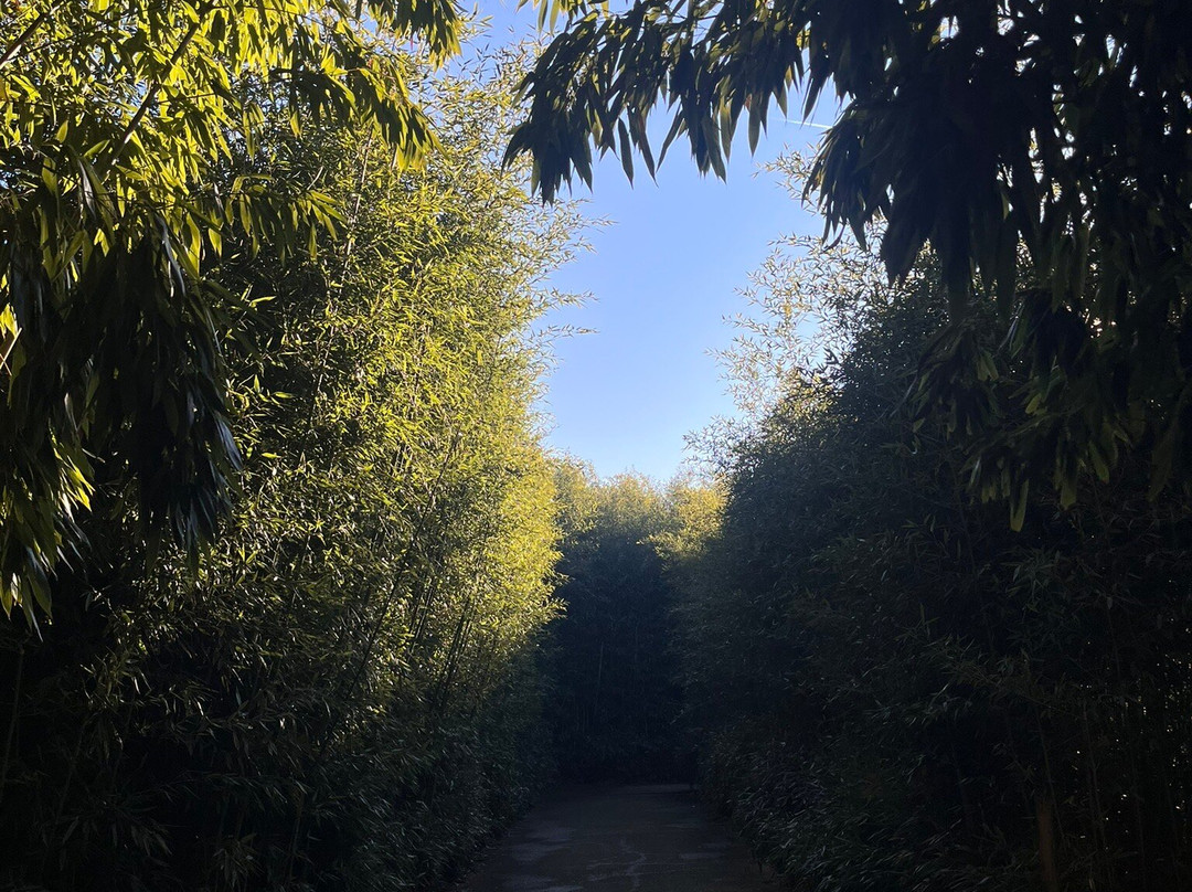 Labirinto Della Masone-丰塔内拉托必去景点