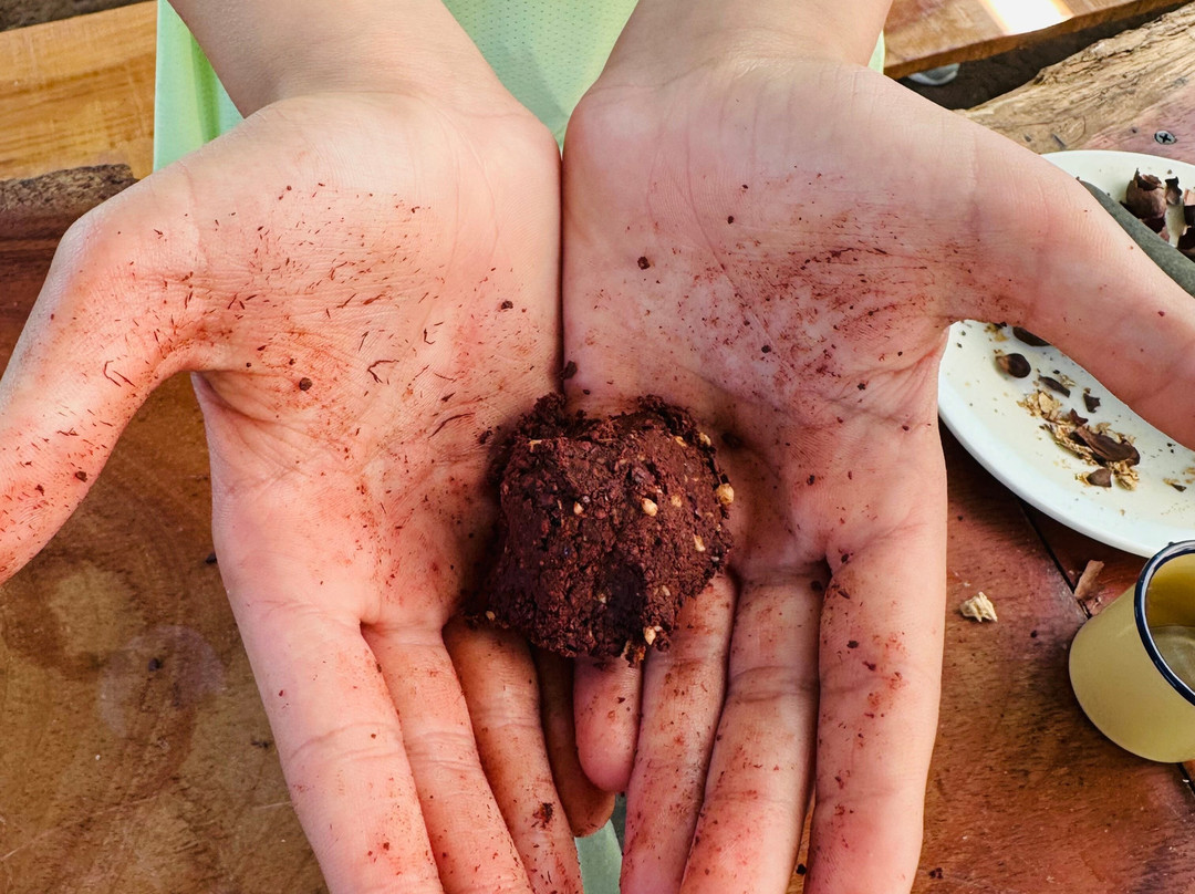 TIO JOSE COFFEE TOUR-葛雷西亚必去景点