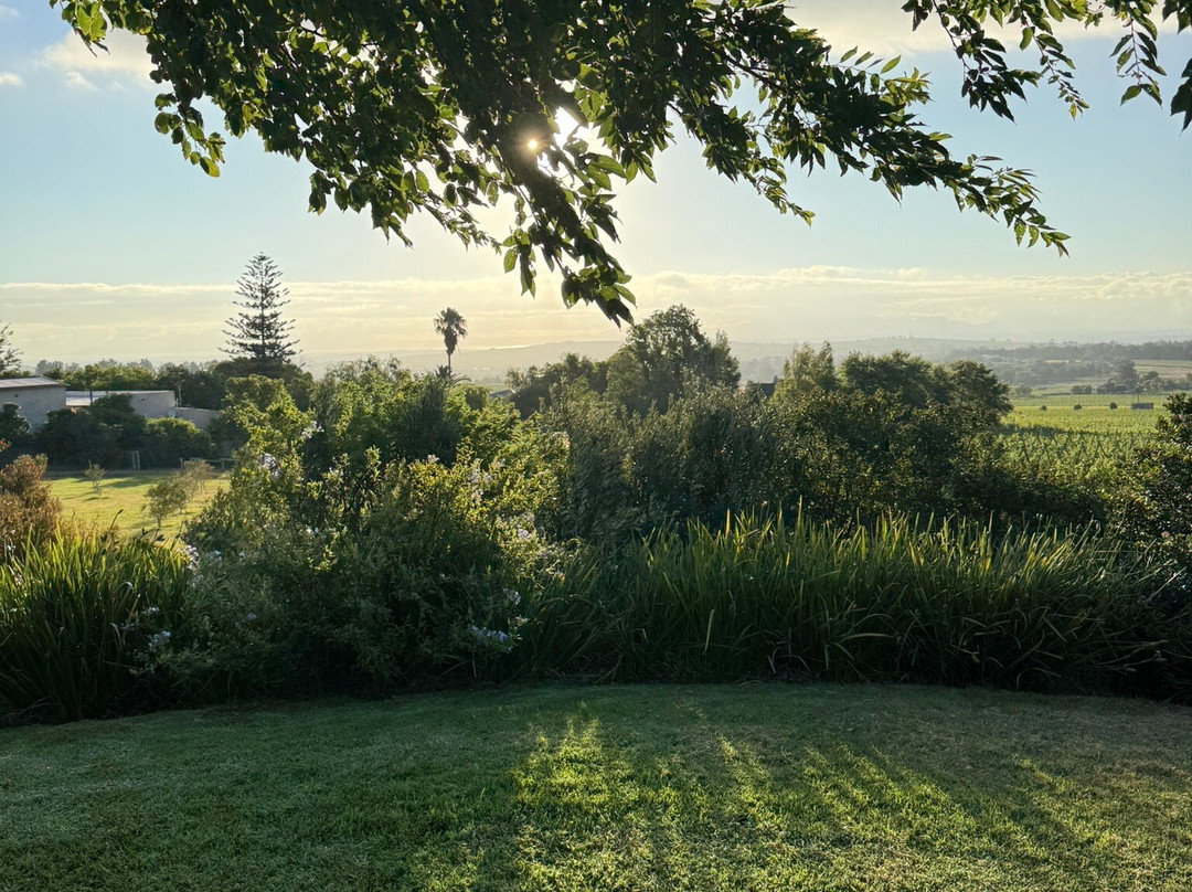 Dylan Lewis Sculpture  Garden-斯泰伦博斯必去景点