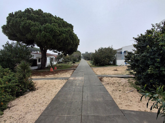 Armona Island-奥良必去景点