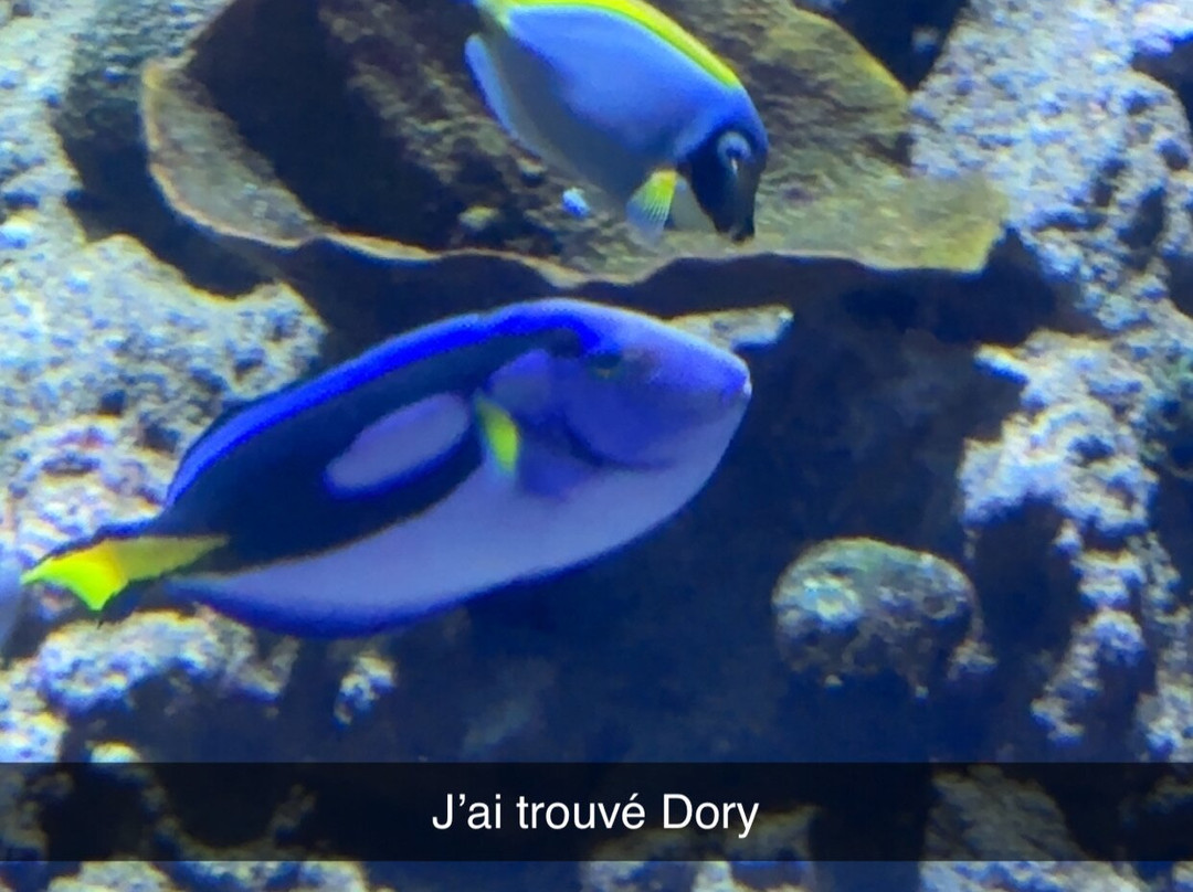 Planet Ocean Montpellier-蒙彼利埃必去景点