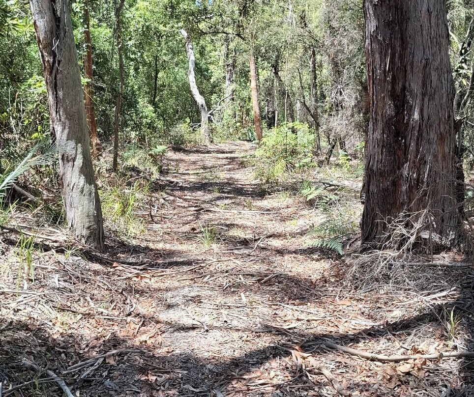 Hunter Region Botanic Gardens-史蒂芬斯港必去景点