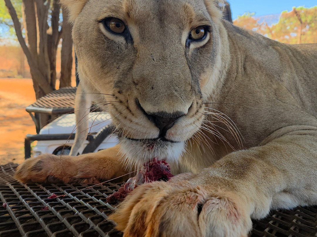 Kali Excursions Sénégal-索蒙必去景点
