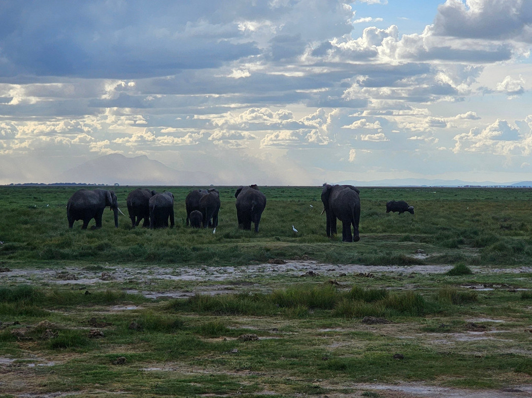 Tourfix Safaris Kenya-Mara North Conservancy必去景点