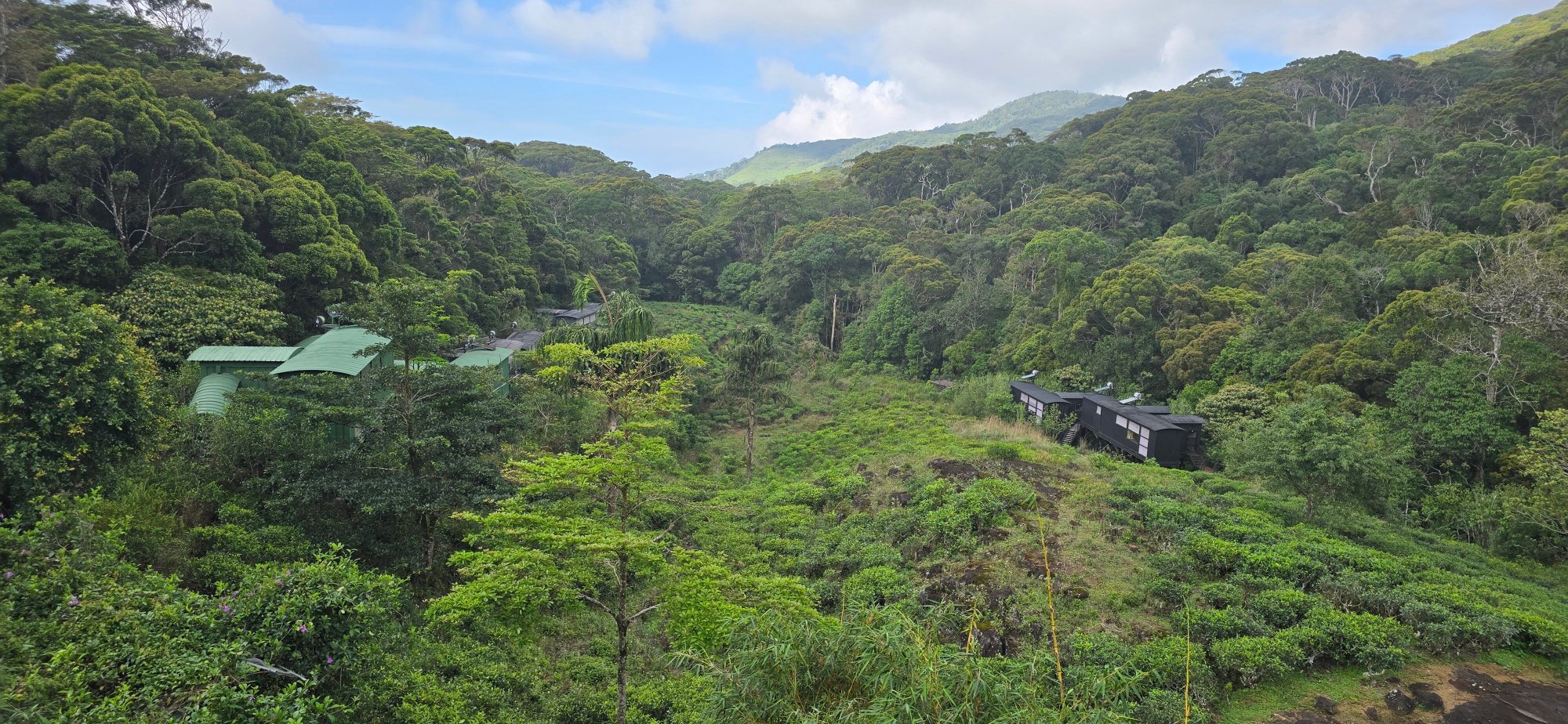 The Rainforest Ecolodge-官方