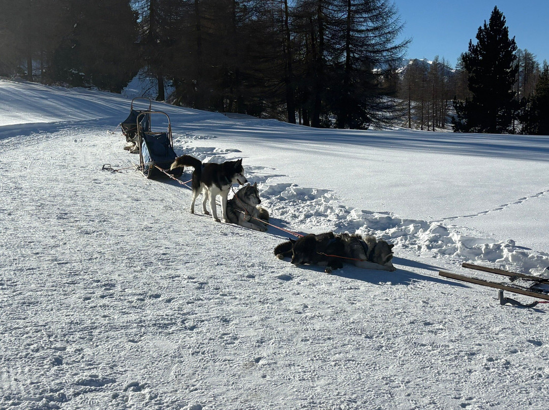 The Husky Experience Sestriere-Sestriere必去景点