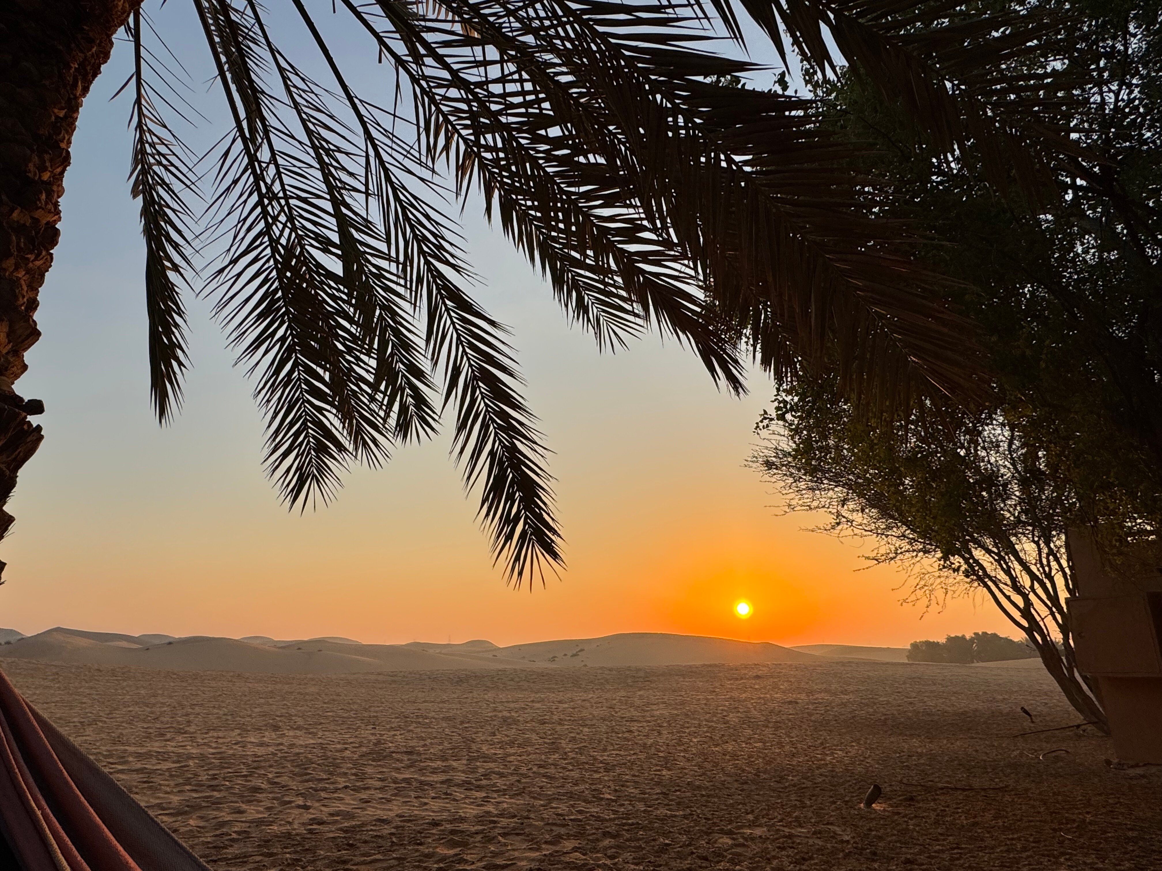 特拉度假酒店-浴室