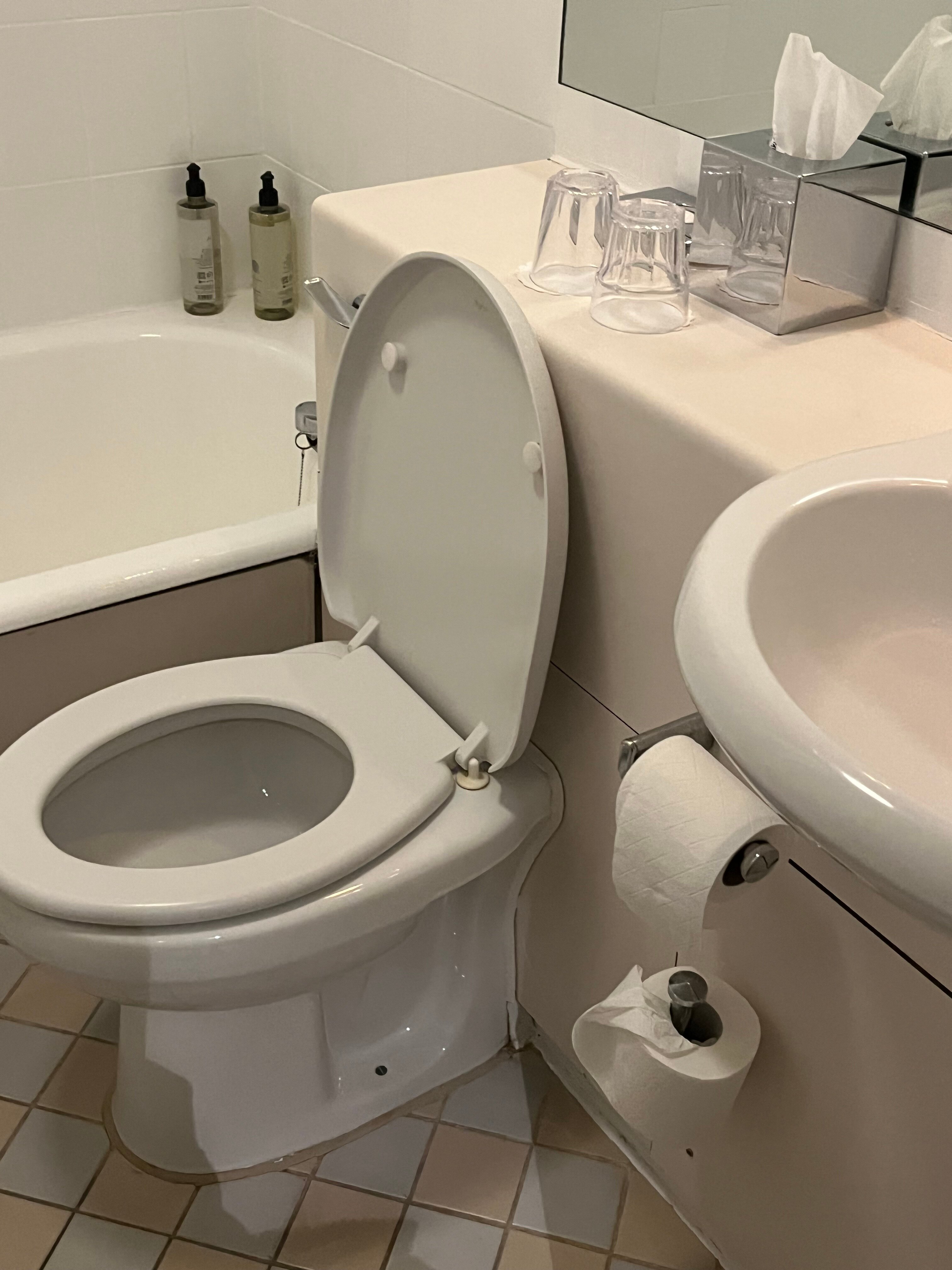 Best Western London Heathrow Ariel Hotel-官方