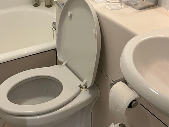 Best Western London Heathrow Ariel Hotel主图