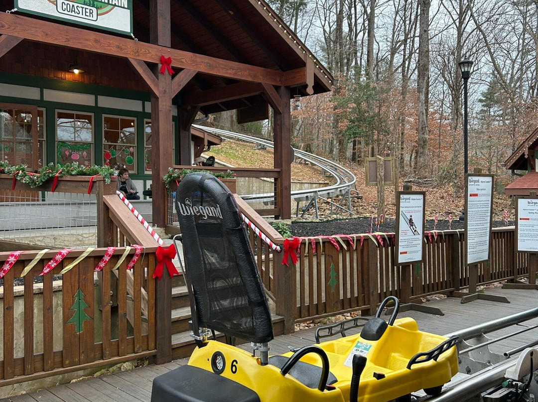 Georgia Mountain Coaster-海伦必去景点
