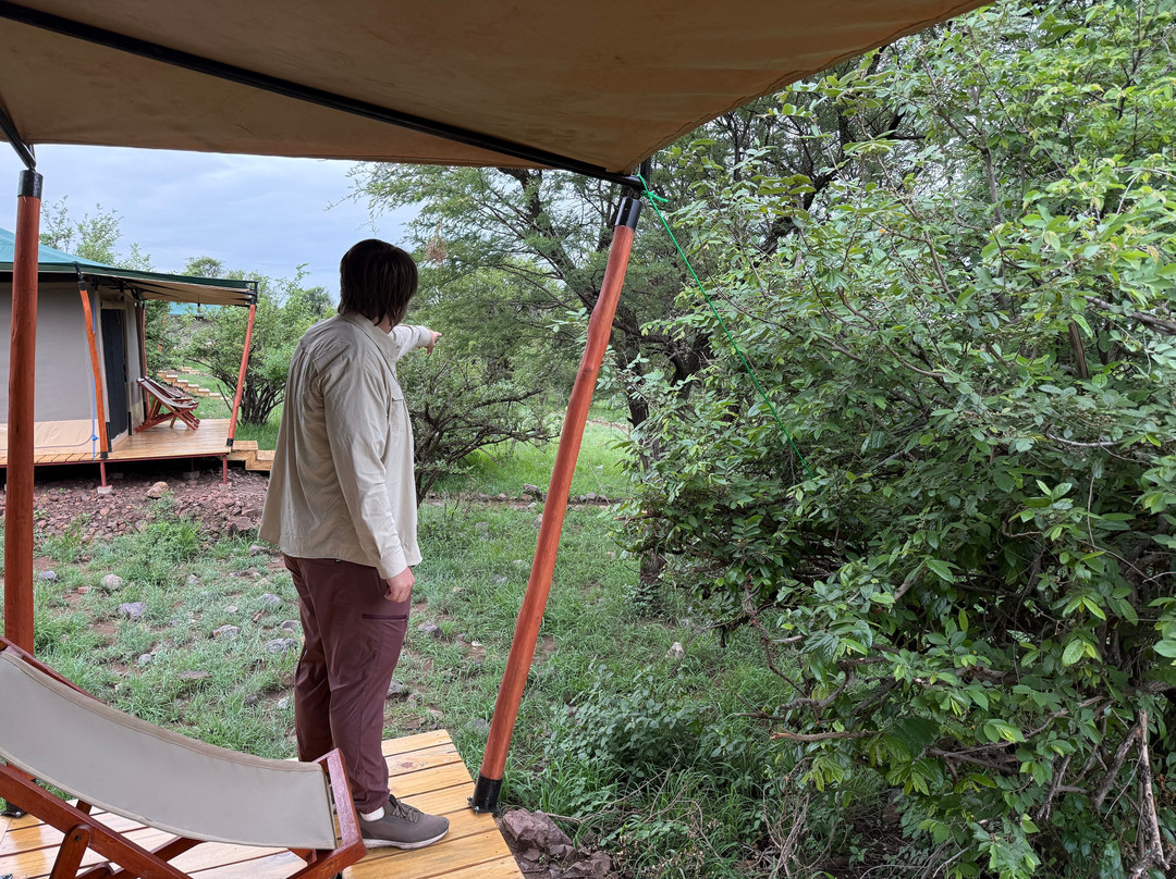 Mbuni Tented Camps-Seronera必去景点