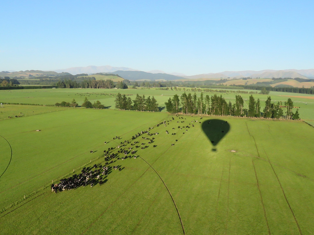 Ballooning Canterbury - Hot Air Balloon Rides-Darfield必去景点