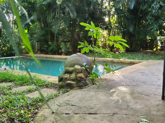 Kwalucia Private Safari Retreat主图