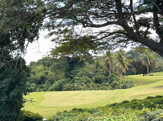 Carambola Golf Club-Fountain必去景点