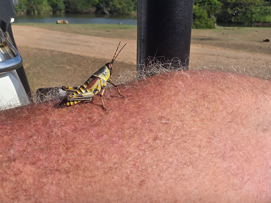 Schotia Safaris Private Game Reserve主图