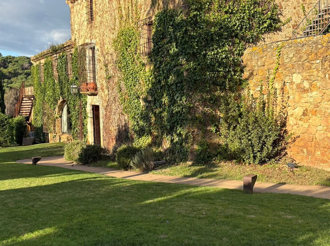 Avalon Holistic Ayahuasca Retreats-巴塞罗那必去景点