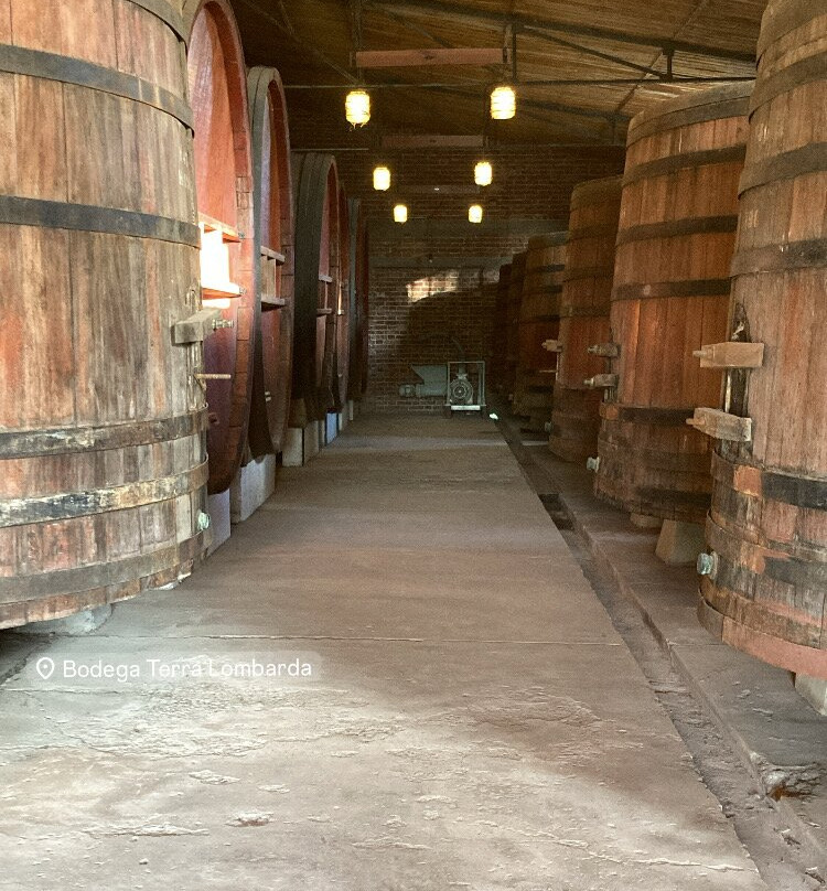 Bodega Terra Lombarda-圣拉斐尔必去景点
