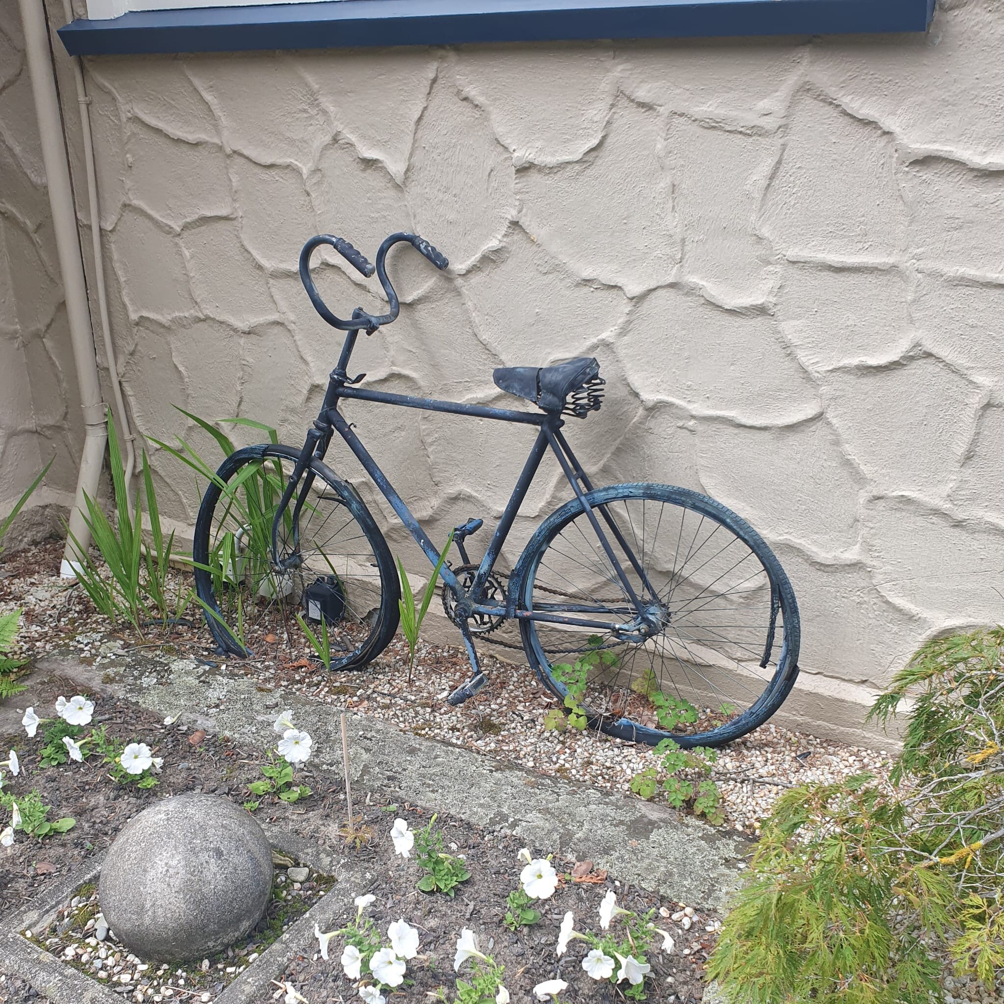 Riverside B & B-官方