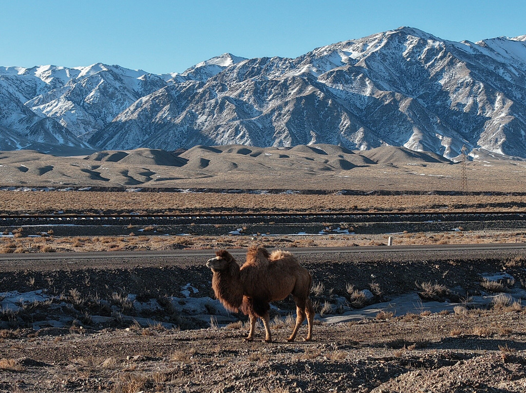 Orto-Tokoy Water Reservoir-Kochkor必去景点
