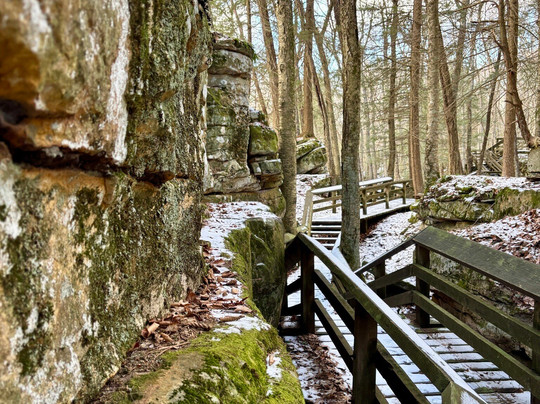 Beartown State Park-Marlinton必去景点