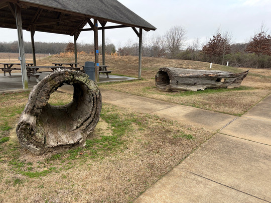 Sky Lake Boardwalk-Belzoni必去景点