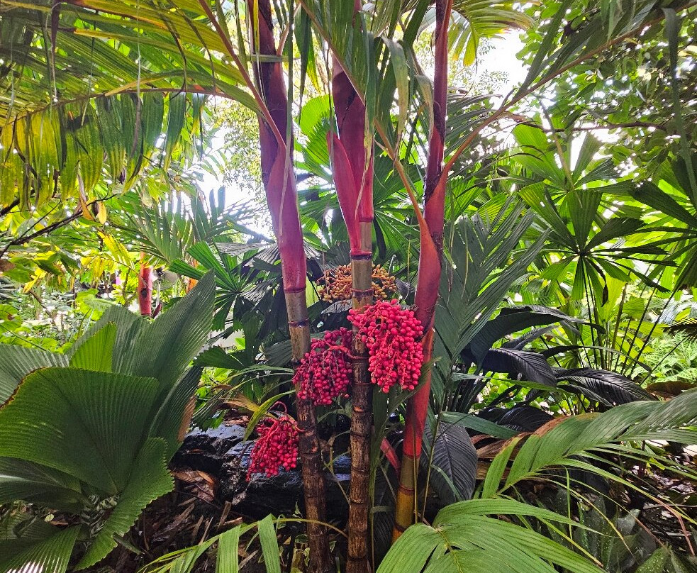 The Leaf-温尼伯必去景点