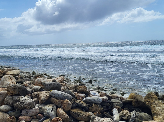 Sea Glass Tours Aruba Powered by Tranquilo Charters N.V.-萨瓦内塔必去景点