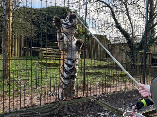 Heythrop Zoological Gardens-奇平诺顿必去景点