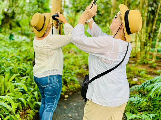 Ceylon Wavewalkers (Pvt) Ltd-哈顿必去景点