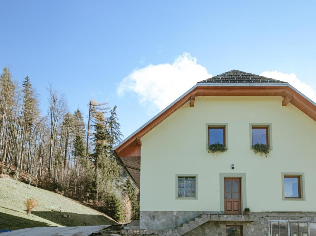 Apartments Cenda