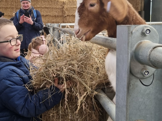 Monk Park Farm-Bagby必去景点