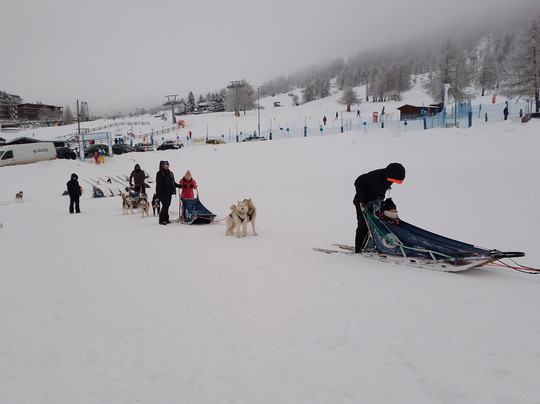 The Husky Experience Sestriere-Sestriere必去景点