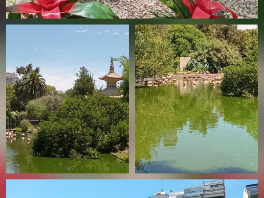 Eco Parque-布宜诺斯艾利斯必去景点