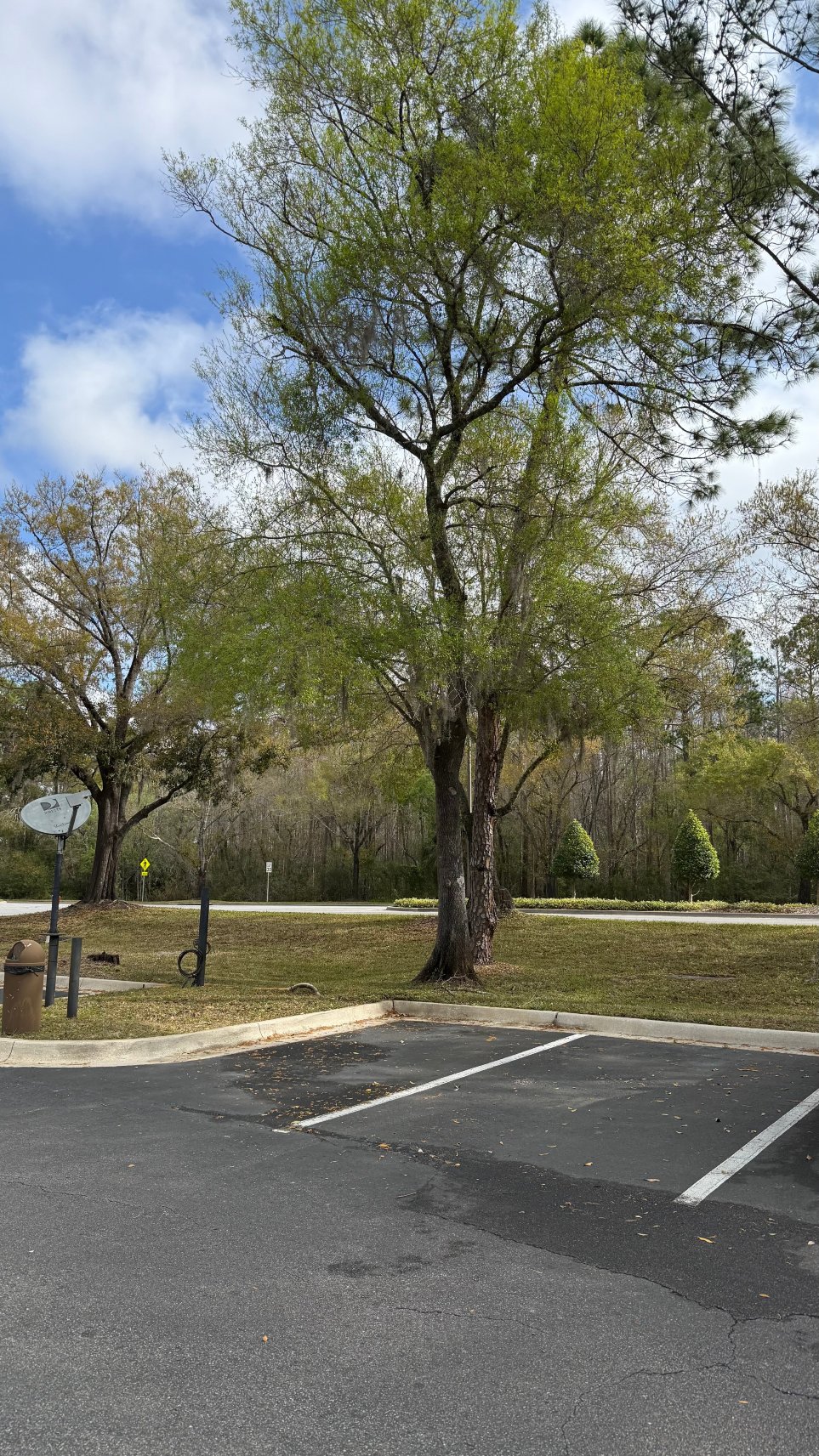 北坦帕希尔顿恒庭旅馆&套房酒店-浴室