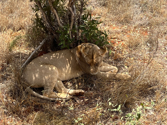 Discovery Kenya con Fragola-瓦塔木必去景点