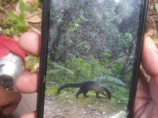Jabarkhet Nature Reserve-马苏里必去景点