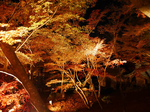 Kamado Shrine-太宰府市必去景点