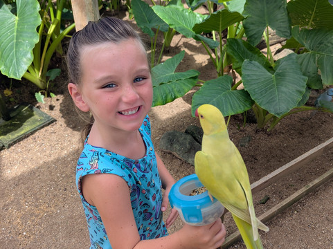 Parotte Ville Bird Sanctuary-圣马丁岛必去景点