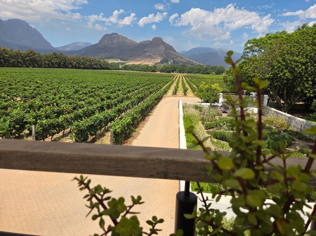 Franschhoek Wine Tram-法兰舒克必去景点