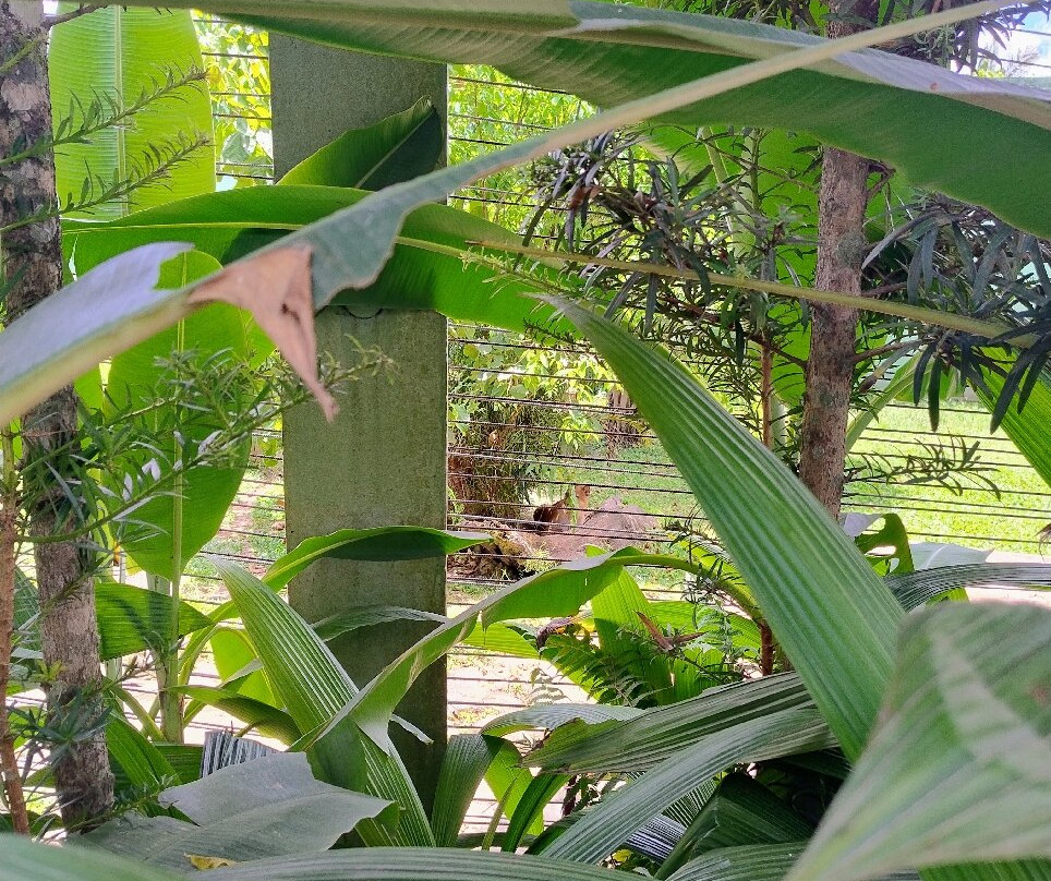 Zoo Pomerode-Pomerode必去景点