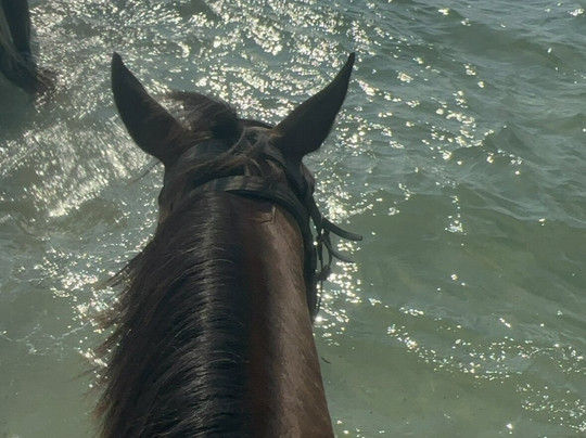 Erika's Horse Farm Kos-Marmari必去景点