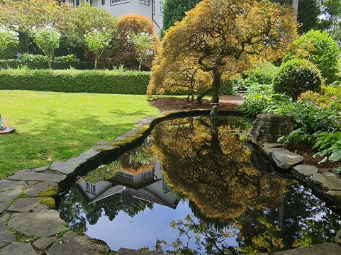 Tupare-新普利默斯必去景点