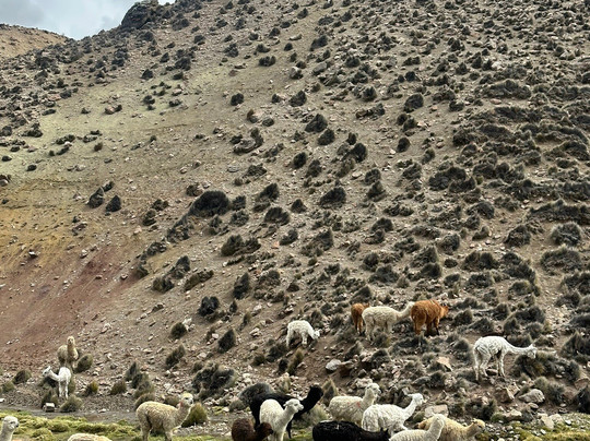Mayuru Tour-Putre必去景点