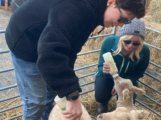 Walking the goats at Lower Coates-巴恩斯利必去景点