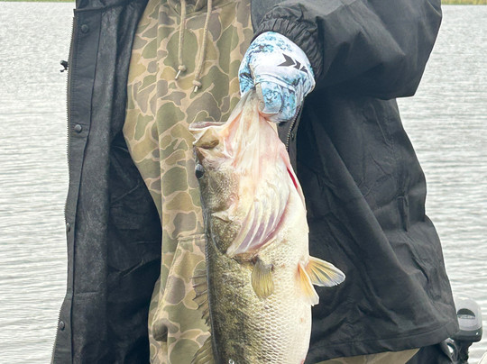 Okeechobee Bass Guide Service-奥基乔比必去景点