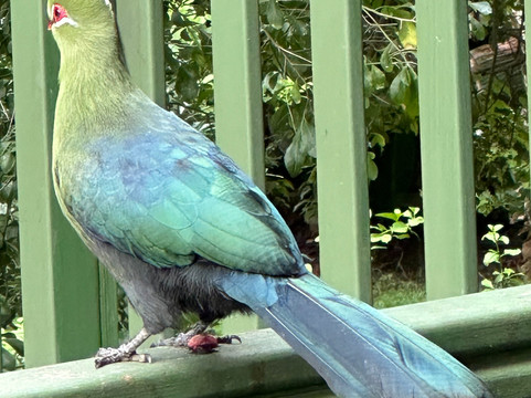 Cinnamon Boutique Guest House主图