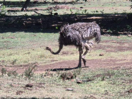 Coquille Bonheur Ltd.-博巴森-荷津必去景点